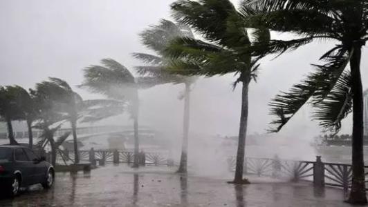 8月臺風雨即將來，除濕機還得用起來