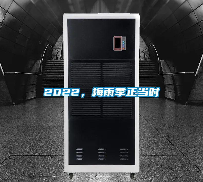 2022，梅雨季正當(dāng)時(shí)