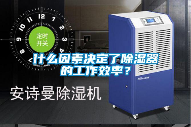 什么因素決定了除濕器的工作效率？