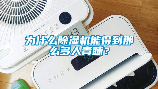 為什么除濕機(jī)能得到那么多人青睞？