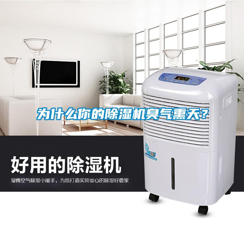 為什么你的除濕機(jī)臭氣熏天？