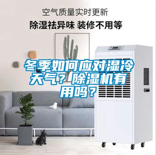 冬季如何應對濕冷天氣？除濕機有用嗎？