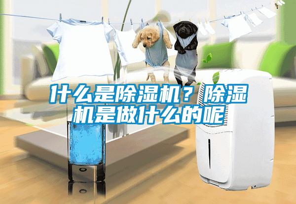 什么是除濕機？除濕機是做什么的呢