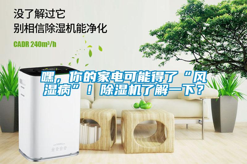 嘿，你的家電可能得了“風濕病”！除濕機了解一下？