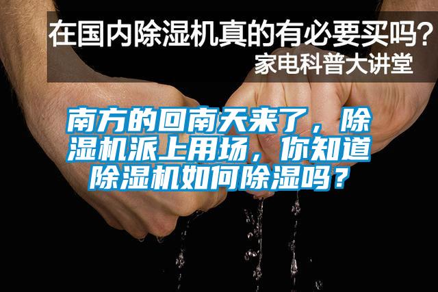 南方的回南天來了，除濕機派上用場，你知道除濕機如何除濕嗎？