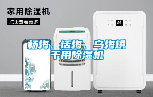 楊梅、話梅、烏梅烘干用除濕機