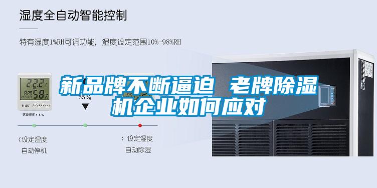 新品牌不斷逼迫 老牌除濕機(jī)企業(yè)如何應(yīng)對(duì)