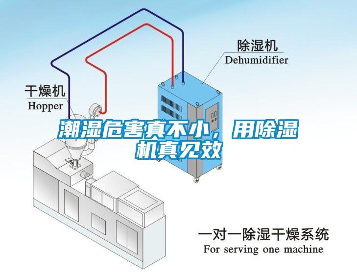 潮濕危害真不小，用除濕機(jī)真見(jiàn)效