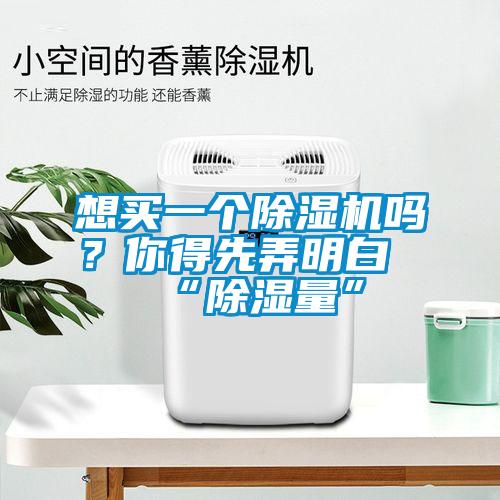 想買一個除濕機(jī)嗎？你得先弄明白“除濕量”