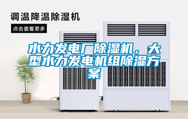 水力發(fā)電廠除濕機(jī)，大型水力發(fā)電機(jī)組除濕方案