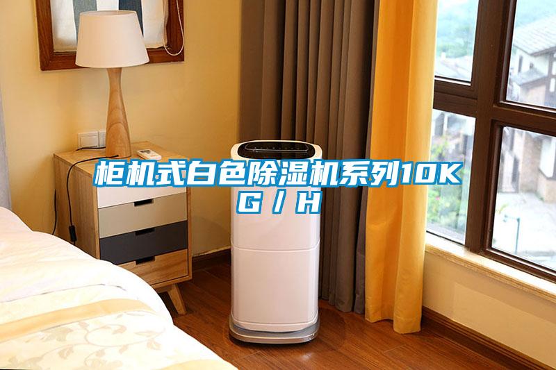 柜機式白色除濕機系列10KG／H