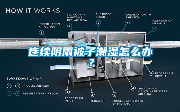 連續(xù)陰雨被子潮濕怎么辦？