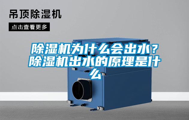 除濕機為什么會出水？除濕機出水的原理是什么