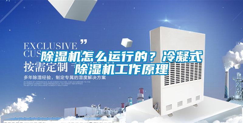 除濕機怎么運行的？冷凝式除濕機工作原理