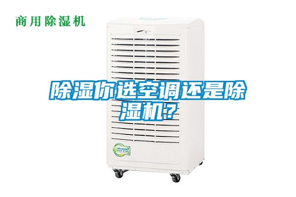 除濕你選空調(diào)還是除濕機？