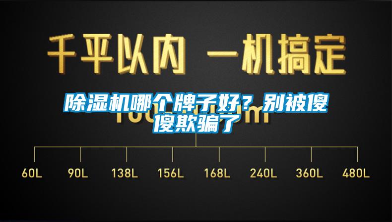 除濕機哪個牌子好？別被傻傻欺騙了