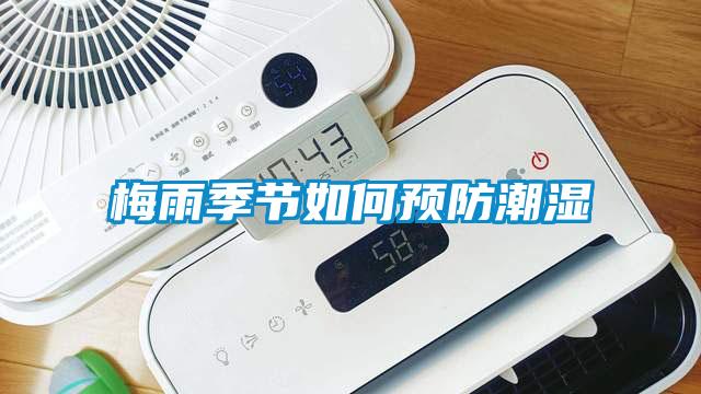 梅雨季節(jié)如何預防潮濕