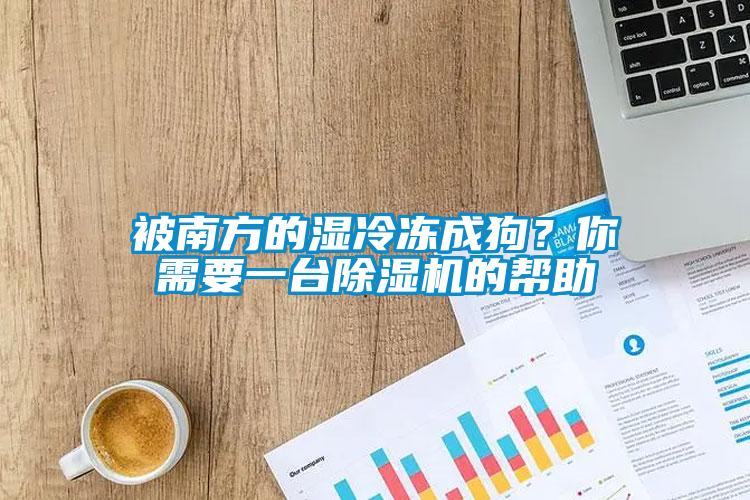 被南方的濕冷凍成狗？你需要一臺除濕機的幫助