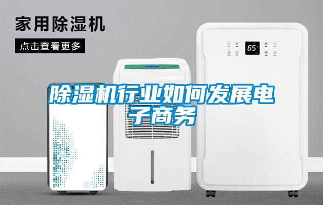 除濕機行業(yè)如何發(fā)展電子商務(wù)