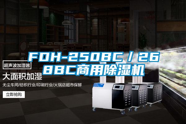 FDH-250BC／268BC商用除濕機(jī)