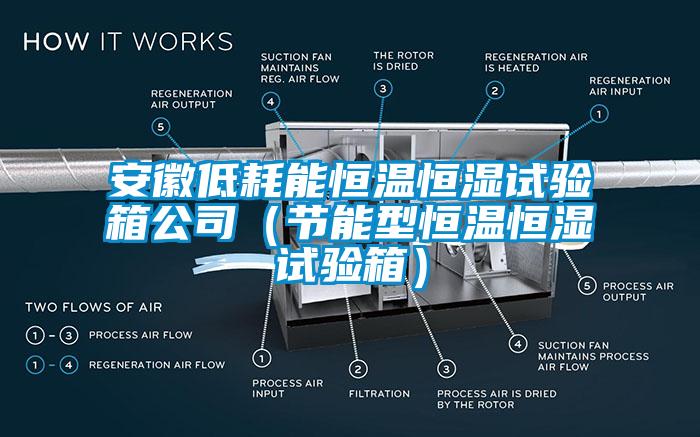 安徽低耗能恒溫恒濕試驗(yàn)箱公司（節(jié)能型恒溫恒濕試驗(yàn)箱）