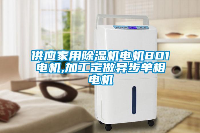 供應(yīng)家用除濕機(jī)電機(jī)801電機(jī),加工定做異步單相電機(jī)