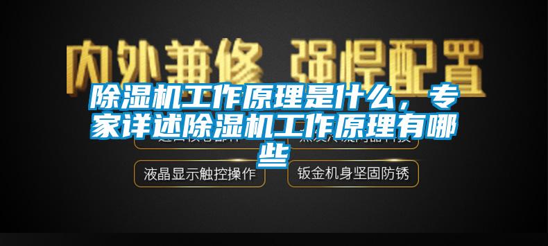 除濕機工作原理是什么，專家詳述除濕機工作原理有哪些