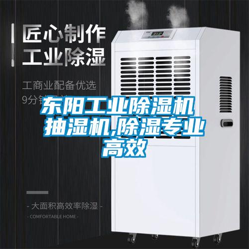 東陽工業(yè)除濕機(jī) 抽濕機(jī),除濕專業(yè)高效