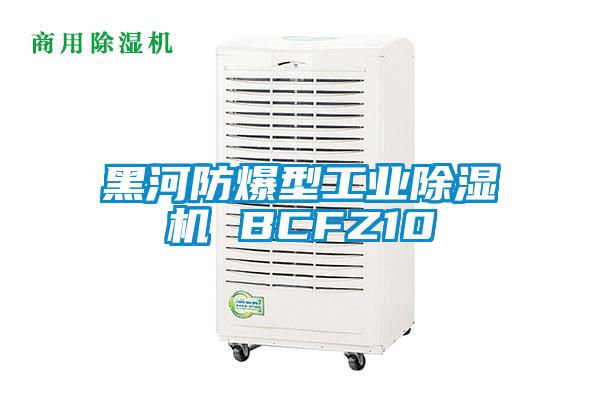 黑河防爆型工業(yè)除濕機 BCFZ10