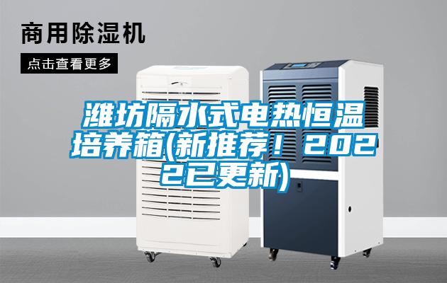 濰坊隔水式電熱恒溫培養(yǎng)箱(新推薦！2022已更新)