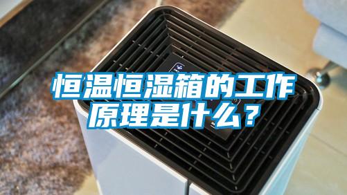 恒溫恒濕箱的工作原理是什么？