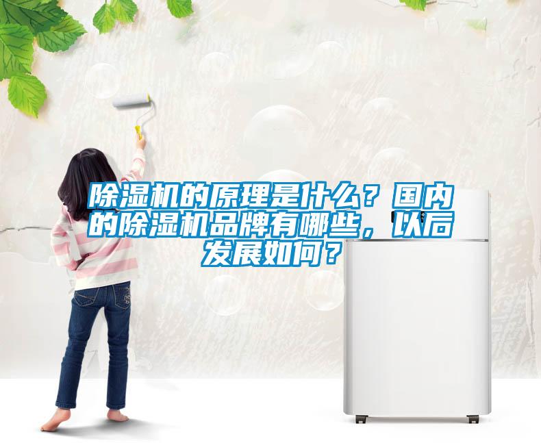 除濕機的原理是什么？國內的除濕機品牌有哪些，以后發(fā)展如何？