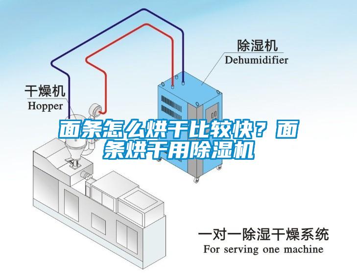 面條怎么烘干比較快？面條烘干用除濕機(jī)