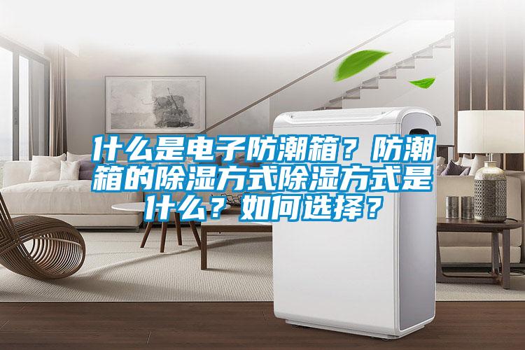 什么是電子防潮箱？防潮箱的除濕方式除濕方式是什么？如何選擇？