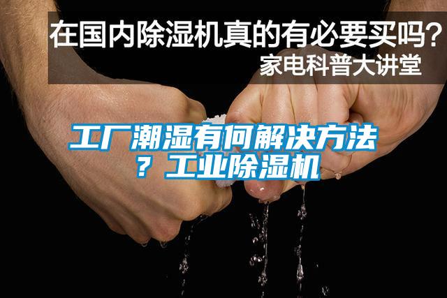 工廠潮濕有何解決方法？工業(yè)除濕機(jī)