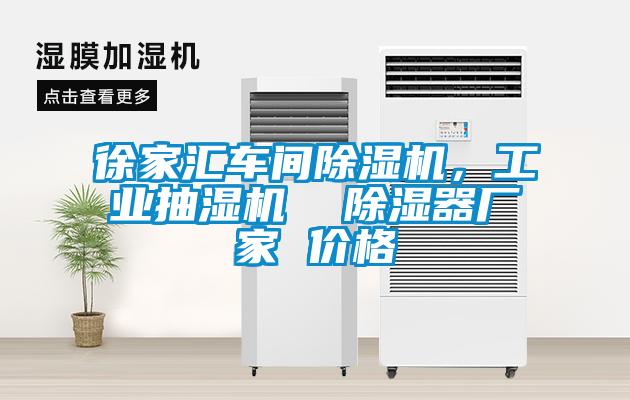 徐家匯車間除濕機，工業(yè)抽濕機  除濕器廠家 價格