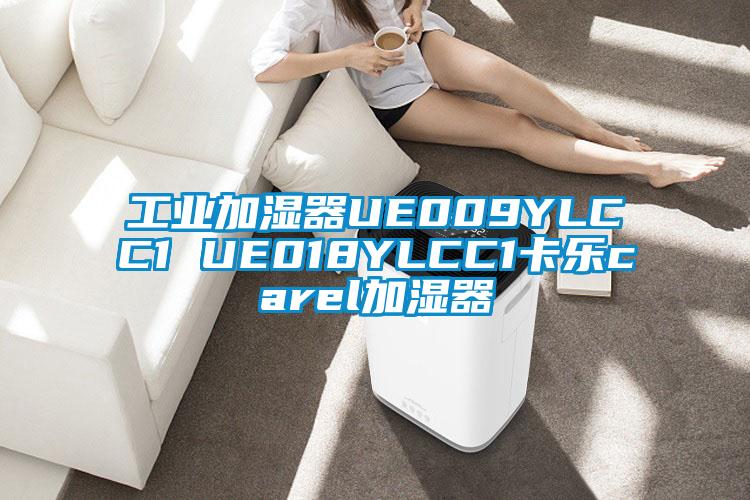 工業(yè)加濕器UE009YLCC1 UE018YLCC1卡樂carel加濕器