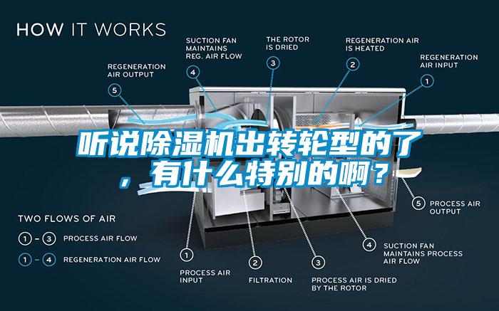 聽(tīng)說(shuō)除濕機(jī)出轉(zhuǎn)輪型的了，有什么特別的啊？