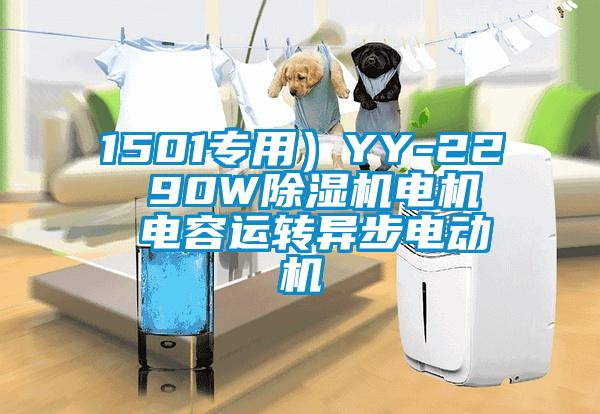 1501專用）YY-22  90W除濕機(jī)電機(jī)  電容運(yùn)轉(zhuǎn)異步電動(dòng)機(jī)