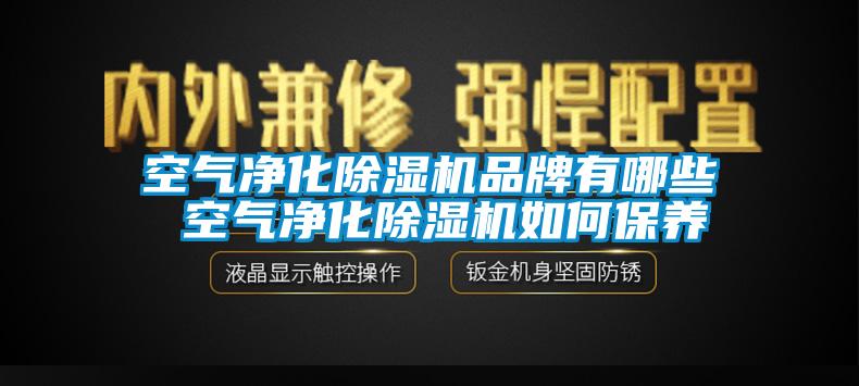 空氣凈化除濕機品牌有哪些 空氣凈化除濕機如何保養(yǎng)