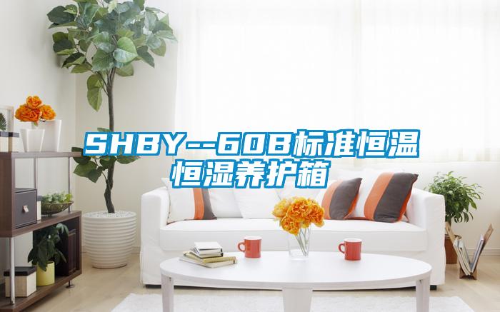 SHBY--60B標(biāo)準(zhǔn)恒溫恒濕養(yǎng)護(hù)箱