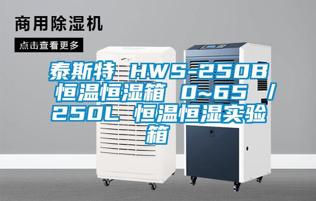 泰斯特 HWS-250B 恒溫恒濕箱 0~65℃／250L 恒溫恒濕實(shí)驗(yàn)箱