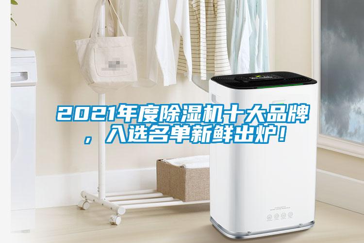 2021年度除濕機十大品牌，入選名單新鮮出爐！