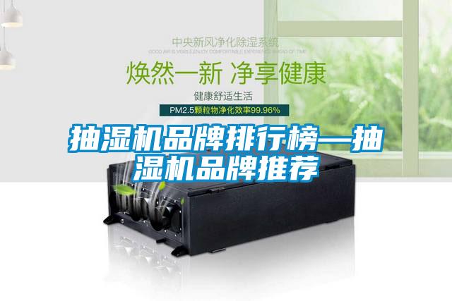 抽濕機品牌排行榜—抽濕機品牌推薦