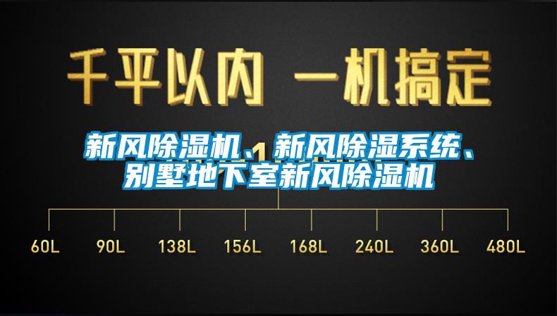 新風(fēng)除濕機(jī)、新風(fēng)除濕系統(tǒng)、別墅地下室新風(fēng)除濕機(jī)