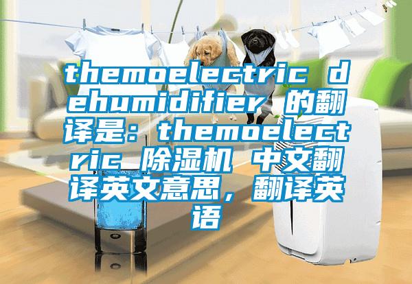 themoelectric dehumidifier 的翻譯是：themoelectric 除濕機(jī) 中文翻譯英文意思，翻譯英語