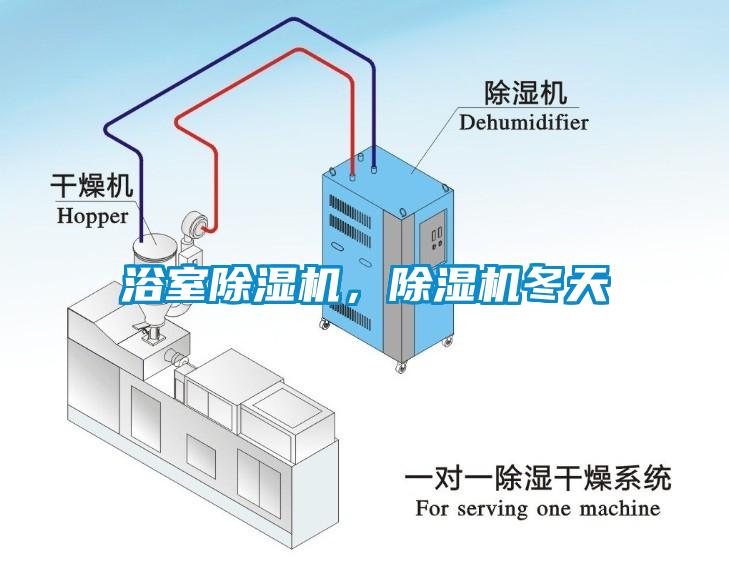 浴室除濕機(jī)，除濕機(jī)冬天