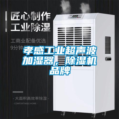 孝感工業(yè)超聲波加濕器，除濕機(jī)品牌