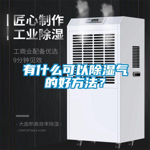 有什么可以除濕氣的好方法？