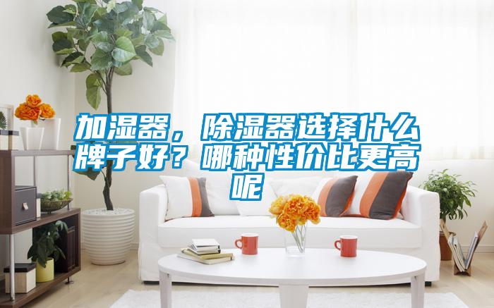 加濕器，除濕器選擇什么牌子好？哪種性價(jià)比更高呢